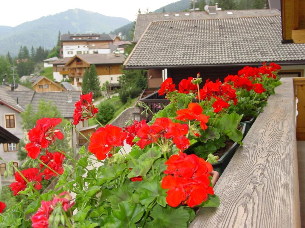 Ciasa Rudiferia Appartamenti In Alta Badia Exterior foto