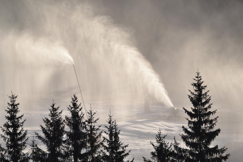 Ciasa Rudiferia Appartamenti In Alta Badia Exterior foto